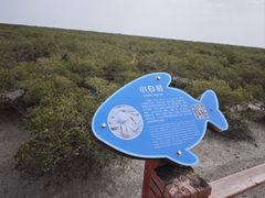 -北海金海湾红树林生态旅游区