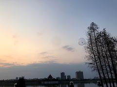 -顺峰山公园