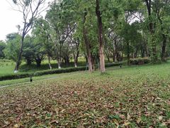 -东莞植物园