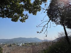 -香雪海