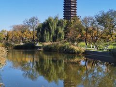 -西海子公园