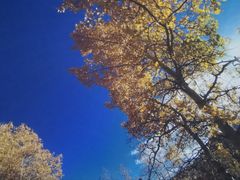 -苏州青少年科技馆