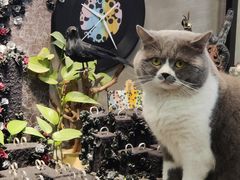 -不作·手工银饰DIY(西红门店)