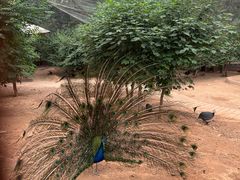 -石家庄市动物园