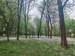 -太阳宫公园