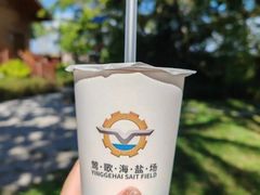 -莺歌海盐场