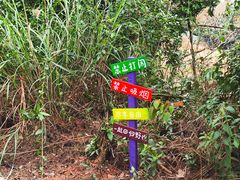 -芦仙山景区-飞越丛林探险乐园