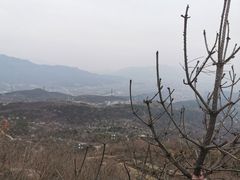 -定都阁