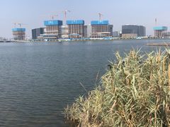 -郑东新区龙湖公共艺术中心
