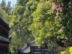 -南华禅寺