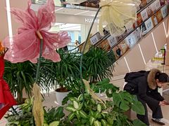 -凯德MALL(望京店)