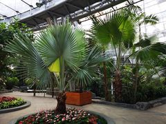 -北京植物园-展览温室