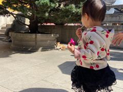 -西园寺素食(西园弄戒幢律寺店)