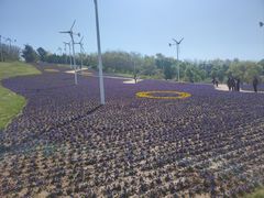 -沈阳植物园
