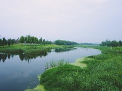 -羊亭河湿地公园