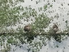 -南宁南湖公园