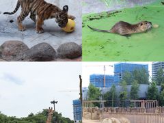 -杭州野生动物世界