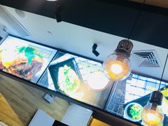 -little hlk 小饿龙(浦东嘉里城店)