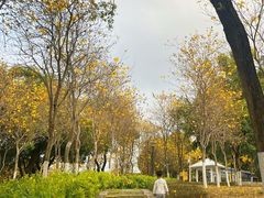 -天河儿童公园