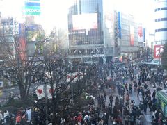 -涩谷区