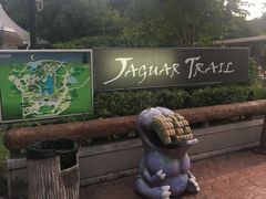 -清迈夜间动物园
