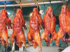 -蒲氏烤鸭(百寿路店)