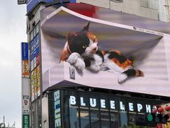 -台场海滨公园船码头