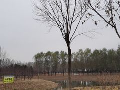 -东郊湿地公园