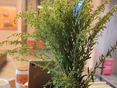 -端艾堂·SPA·艾灸(棕榈泉013店)
