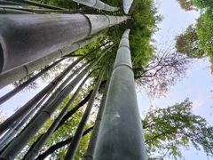 -广东温泉宾馆