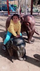 -大望京儿童游乐场