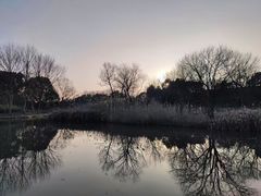 -西溪国家湿地公园