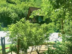-幽岚山·童话森林
