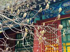 -潭柘寺景区