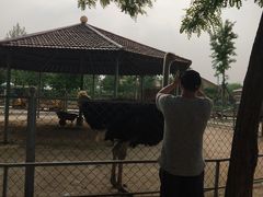-意大利农场度假村