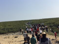 -北海金海湾红树林生态旅游区