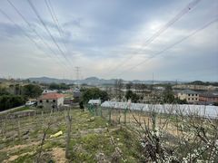 -杭州屏风山越野车营地·团建别墅轰趴民宿