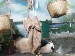 -无锡动物园·太湖欢乐园