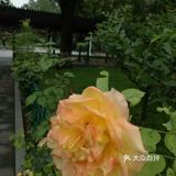 北京中山公园旅游攻略。