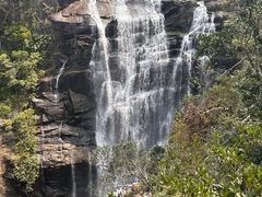 -海南热带雨林国家公园吊罗山景区