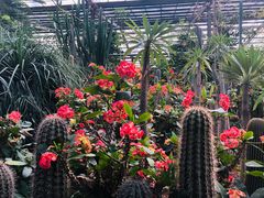 -呀路古热带植物园