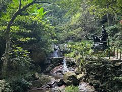 -莫干山风景区