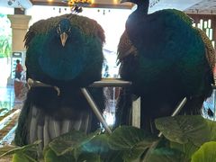 -西双版纳融创皇冠假日度假酒店