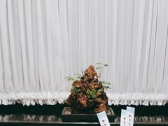 -舟小鲜·舟山小渔村(凤城四路中登广场店)