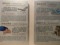 -辽宁古生物博物馆