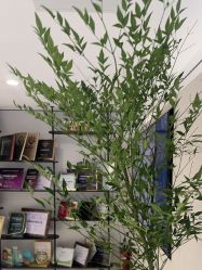 -佳颜轻医美·美学抗衰中心