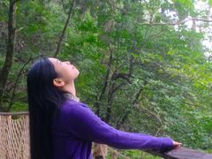 -天目山大树王景区