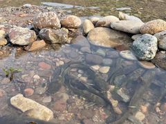 -怀来官厅水库