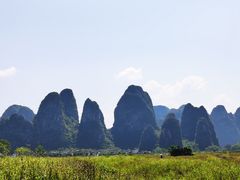 -钟山水墨田园