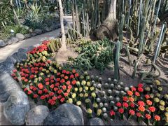 -南山植物园